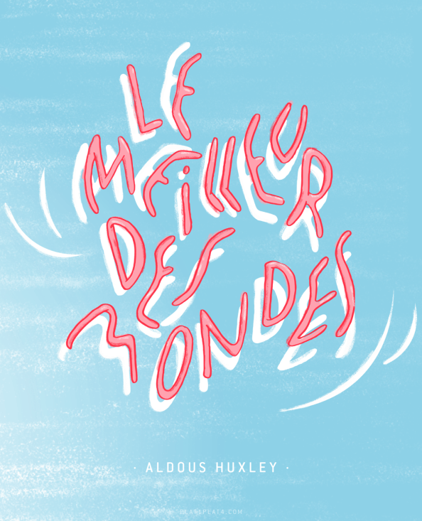 LE-MEILLEUR-DES-MONDES